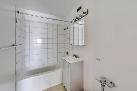 Bath - 345 Eastgate Pl #302, Chicago, IL 60616 photo 1 of 1