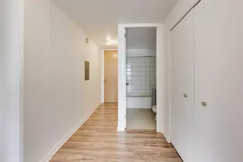 Entry Way - 345 Eastgate Pl #302, Chicago, IL 60616 photo 1 of 1