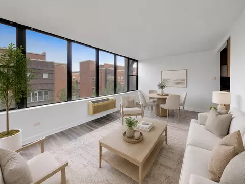 Living - 345 Eastgate Pl #302, Chicago, IL 60616 photo 7 of 8