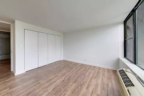 Other - 345 Eastgate Pl #302, Chicago, IL 60616 photo 2 of 5