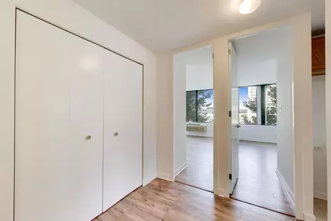 Other - 345 Eastgate Pl #302, Chicago, IL 60616 photo 4 of 5