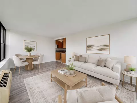 Living - 345 Eastgate Pl #302, Chicago, IL 60616 photo 5 of 8
