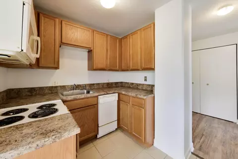 Kitchen - 345 Eastgate Pl #302, Chicago, IL 60616 photo 1 of 3