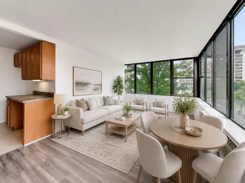 Living - 345 Eastgate Pl #302, Chicago, IL 60616 photo 3 of 8
