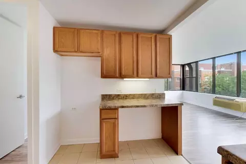 Kitchen - 345 Eastgate Pl #302, Chicago, IL 60616 photo 3 of 3