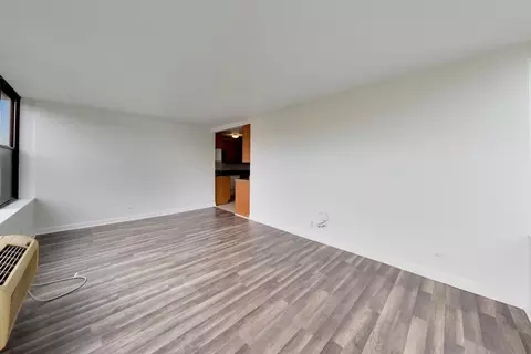 Living - 345 Eastgate Pl #302, Chicago, IL 60616 photo 6 of 8