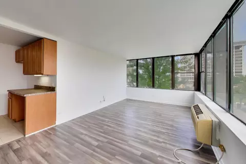 Living - 345 Eastgate Pl #302, Chicago, IL 60616 photo 4 of 8