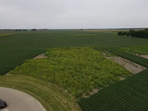 4070 2979th Rd, Newark, IL 60541 photo 7