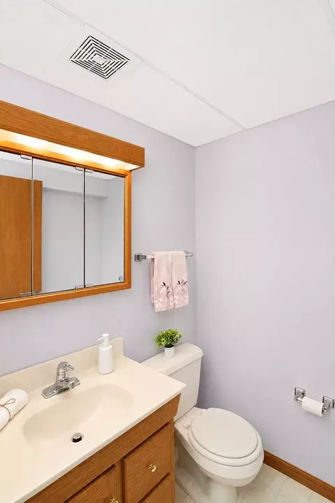Bath - 13453 S Redberry Cir, Plainfield, IL 60544 photo 5 of 5