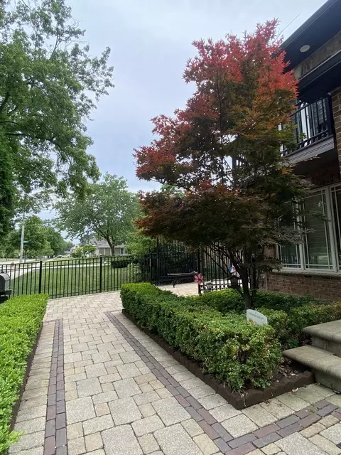 Exterior - 1052 Margret St, Des Plaines, IL 60016 photo 5 of 6