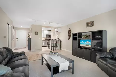 Living - 5500 Carriageway Dr #309, Rolling Meadows, IL 60008 photo 2 of 2