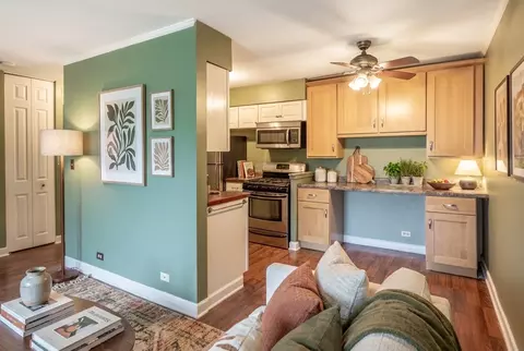 Kitchen - Undisclosed, Hoffman Estates, IL 60169 photo 5 of 6