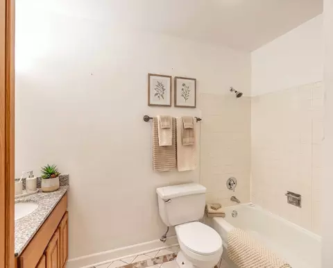 Bath - Undisclosed, Hoffman Estates, IL 60169 photo 1 of 2