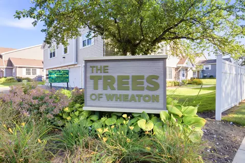 Other - 1645 Timber Trl #D, Wheaton, IL 60189 photo 6 of 6