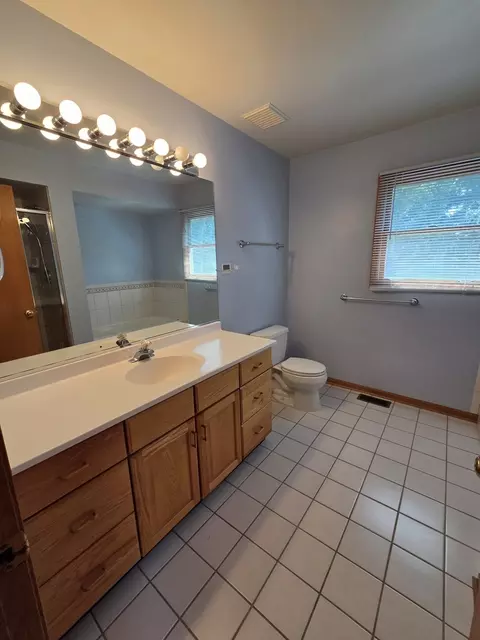 Bath - 2103 E Seminole Ln, Mount Prospect, IL 60056 photo 3 of 4
