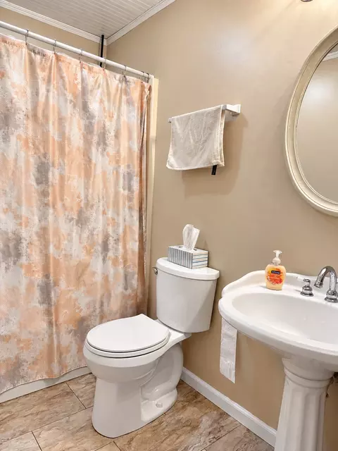 Bath - 1203 White Pine Ln, Metropolis, IL 62960 photo 3 of 3