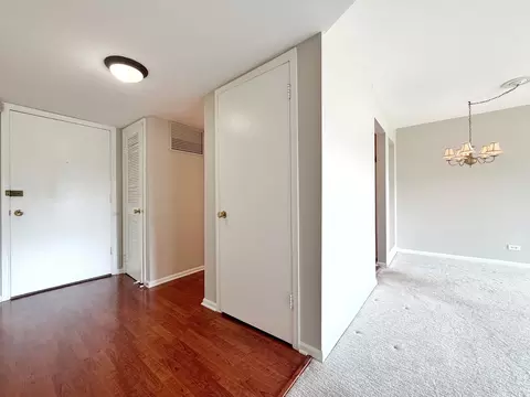 Other - 5000 Carriageway Dr #205, Rolling Meadows, IL 60008 photo 1 of 5
