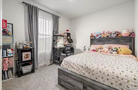 Bedroom - 1510 Sequoia Way, Pingree Grove, IL 60140 photo 4 of 4