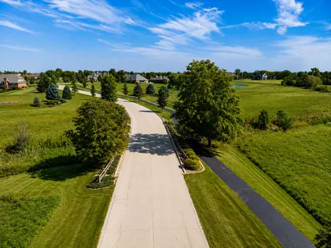 9655 W Queens Ct, Monee, IL 60449 photo 10