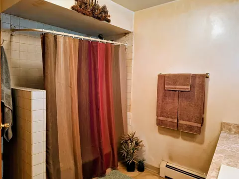 Bath - 331 Orchard St, Hillside, IL 60162 photo 2 of 2