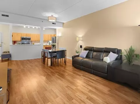 Living - 3100 Town Square Dr #101, Rolling Meadows, IL 60008 photo 3 of 3