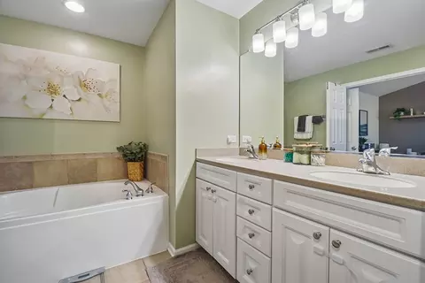 Bath - 1628 Edinburgh Dr #100-2, Bartlett, IL 60103 photo 3 of 4