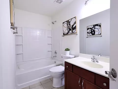 Bath - 14604 Thomas Jefferson Dr, Plainfield, IL 60544 photo 4 of 5