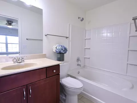 Bath - 14604 Thomas Jefferson Dr, Plainfield, IL 60544 photo 2 of 5