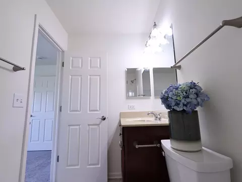 Bath - 14604 Thomas Jefferson Dr, Plainfield, IL 60544 photo 3 of 5