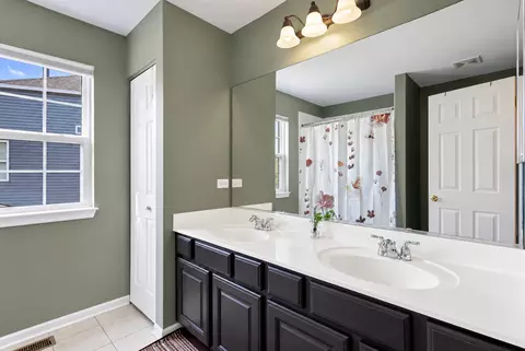 Bath - 25202 Gettysburg Rd, Plainfield, IL 60544 photo 5 of 5