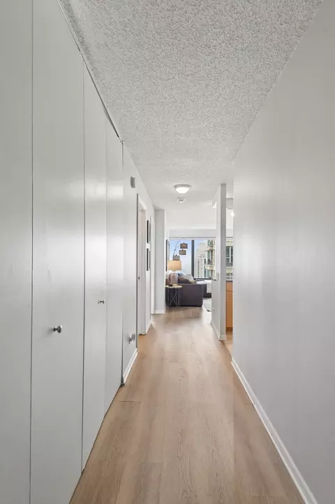Entry Way - 30 E Huron St #5006, Chicago, IL 60611 photo 1 of 1