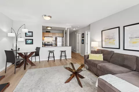 Living - 30 E Huron St #5006, Chicago, IL 60611 photo 4 of 7