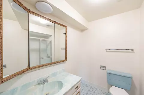 Bath - 1609 Barry Ln, Glenview, IL 60025 photo 3 of 3