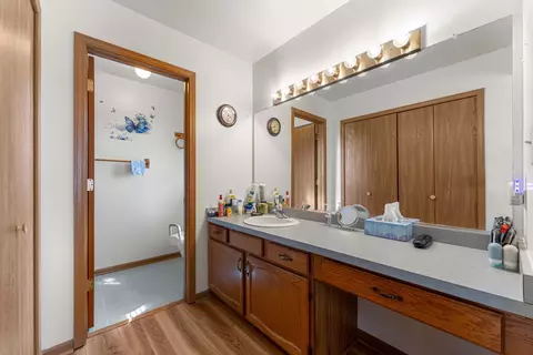 Bath - 17816 Tanglewood Ct, Hazel Crest, IL 60429 photo 3 of 3