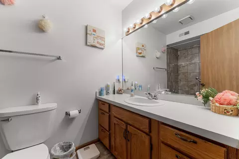 Bath - 17816 Tanglewood Ct, Hazel Crest, IL 60429 photo 2 of 3