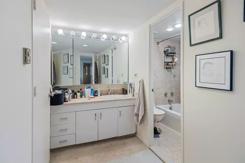Bath - 175 E Delaware Pl #8608, Chicago, IL 60611 photo 2 of 3