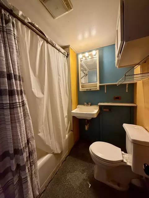 Bath - 154 E Third St, Manteno, IL 60950 photo 2 of 2