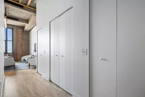 Entry Way - 320 E 21st St #807, Chicago, IL 60616 photo 3 of 4