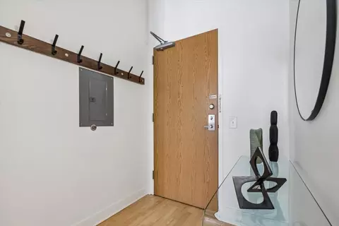 Entry Way - 320 E 21st St #807, Chicago, IL 60616 photo 4 of 4