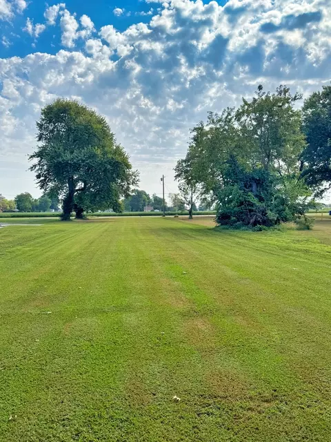 Exterior - 323 Austin Ave, Flora, IL 62839 photo 10 of 14