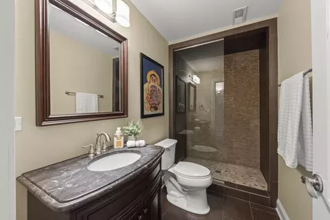 Bath - 253 E Wilson St, Elmhurst, IL 60126 photo 7 of 7