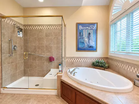 Bath - 20228 Oakwood Dr, Mokena, IL 60448 photo 3 of 4