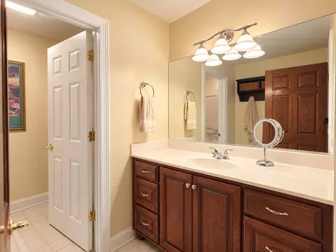 Bath - 20228 Oakwood Dr, Mokena, IL 60448 photo 4 of 4