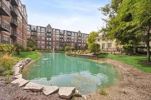 View/Area - 255 E Liberty Dr #203, Wheaton, IL 60187 photo 1 of 1