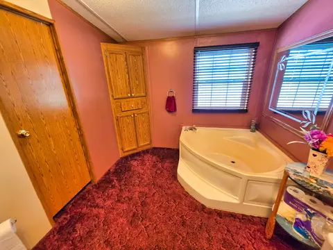 Bath - 121 Meyer St, Flora, IL 62839 photo 4 of 7