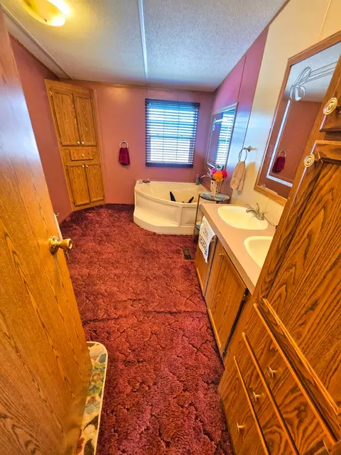 Bath - 121 Meyer St, Flora, IL 62839 photo 6 of 7