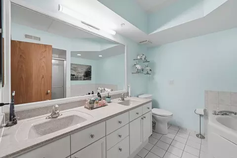 Bath - 1325 Perry St #206, Des Plaines, IL 60016 photo 1 of 3