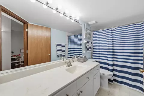 Bath - 1325 Perry St #206, Des Plaines, IL 60016 photo 3 of 3