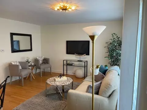 Living - 3809 W Wabansia Ave, Chicago, IL 60647 photo 1 of 4