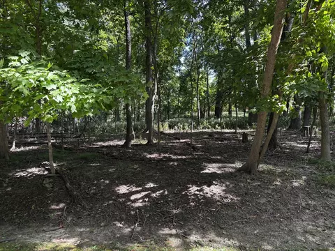 1102 Jay Ct, Varna, IL 61375 photo 3